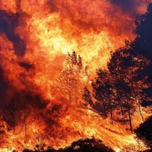 fransanin atesle dansi suruyor 16 bin hektar kul oldu wEgQvw9j