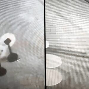 isletmenin masalarini deviren alkollu kisi guvenlik kameralarina ozur diledi puXvafv9