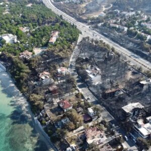 orman yanginlari yaban hayati tehdit ediyor dg8kuxrY