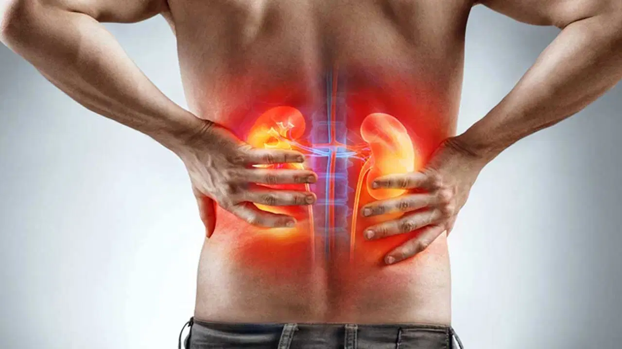 uroloji uzmani uyardi 45 yas ustune prostat ve bobrek muayenesi sart st3ZgJuU