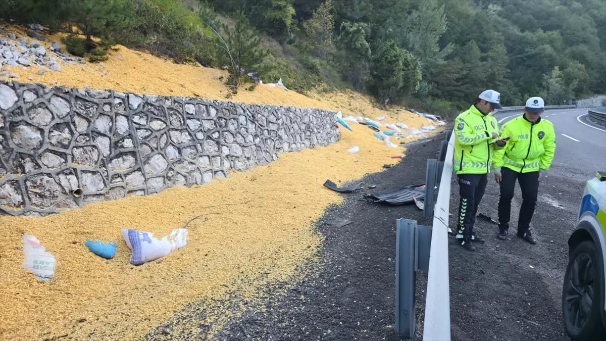 bursa inegolde hayvan yemi yuklu tir devrildi 2 agir yarali eY5FWx4I