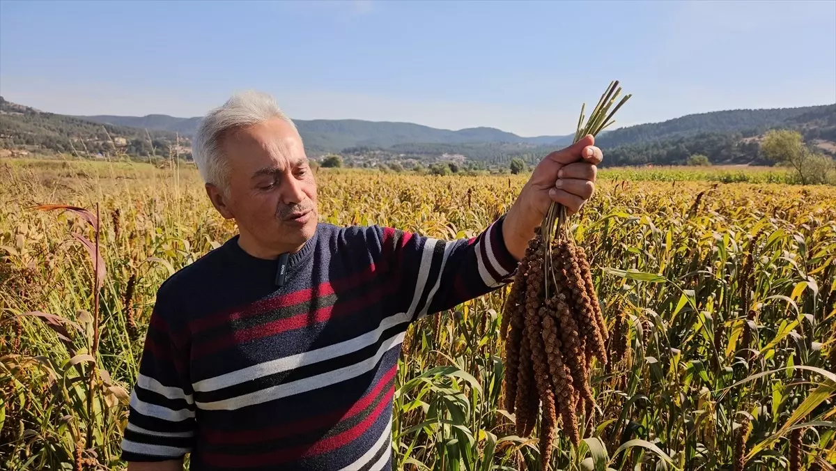 sindirgida daldari hasadi basladi OBYv2wwO.jpg