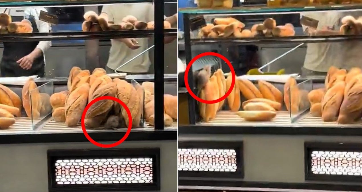 firinda cekilen bu goruntuyu paylasmamasi icin 420 bin lira teklif edildi 3QlIZWWQ.jpg