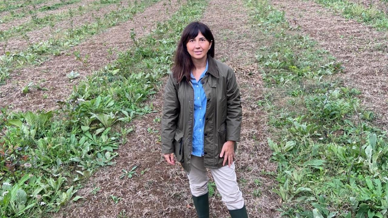 kariyerini birakti topraga dondu seda cem kadin ciftcilere ilham oluyor MQaAZQ3i.jpeg