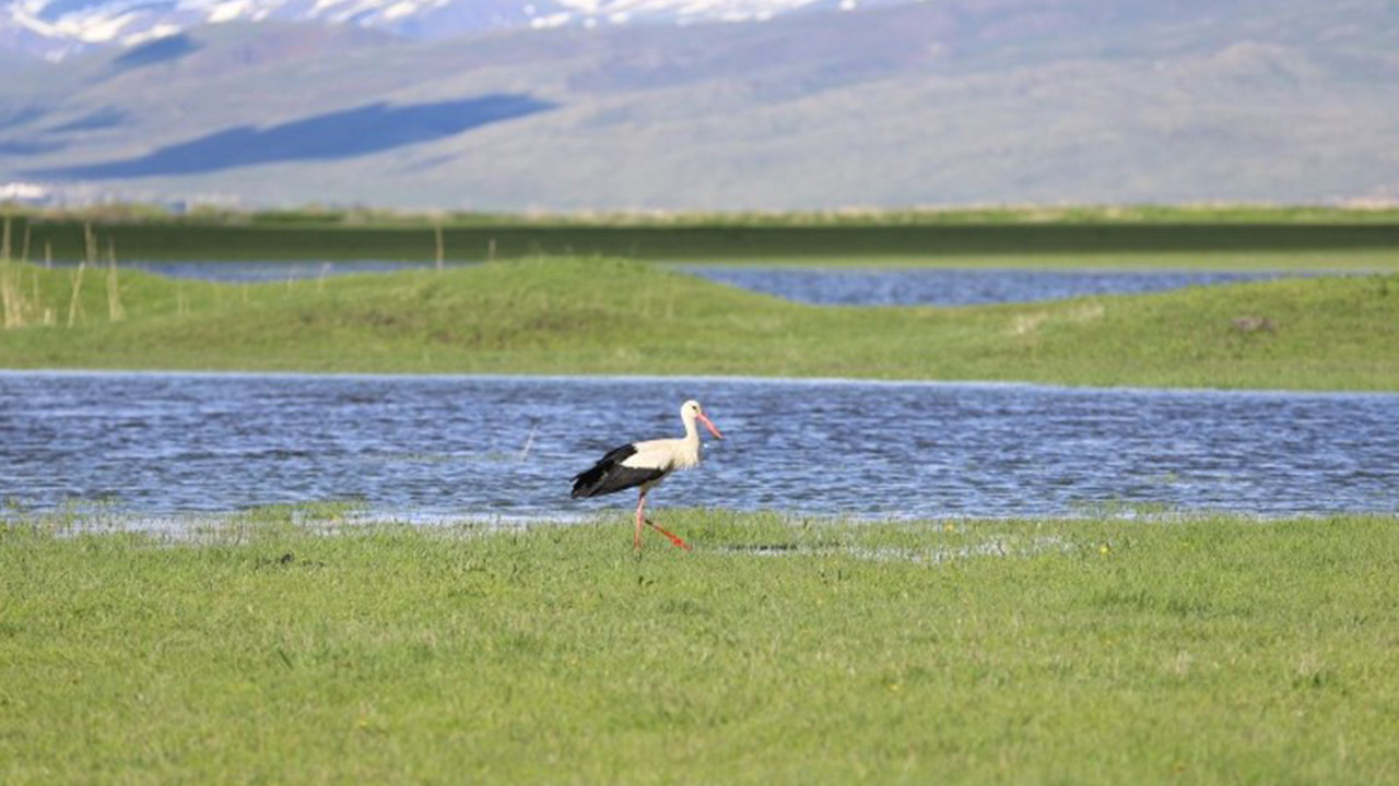 Erzurum’da İki Mevsim Bir Arada: Kar ve Bahar Görsel Şöleni