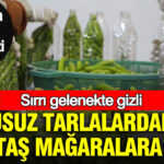 Susuz tarlalardan tas magaralara sirri gelenekte gizli uretim icin kollari sivadilar Gyxj9wFw